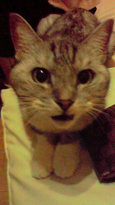 image/2010-11-01T03:13:00-1.jpg