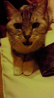 image/2010-11-01T03:13:00-2.jpg