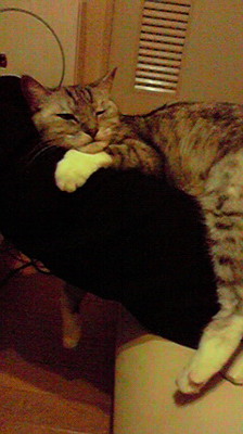 image/2010-11-01T03:13:00-3.jpg